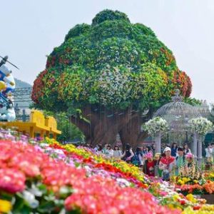 KOREA + EVERLAND THEME PARK | AIR ASIA