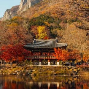 KOREA SPECIAL AUTUMN | MALAYSIA AIRLINES